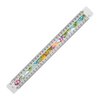 30cm Architects Ruler - Full Colour