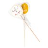 Picture Pop Lollipop