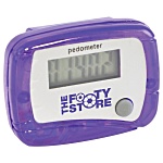 Budget Pedometer