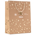 Sparkle Paper Gift Bag