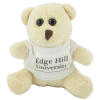 View Image 1 of 3 of 10cm Mini Beanie Bear with T-Shirt
