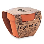 Forget Me Not Terracotta Pot