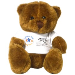 4imprint.co.uk: Scout Bears - Kind Bear with T-Shirt 502651A