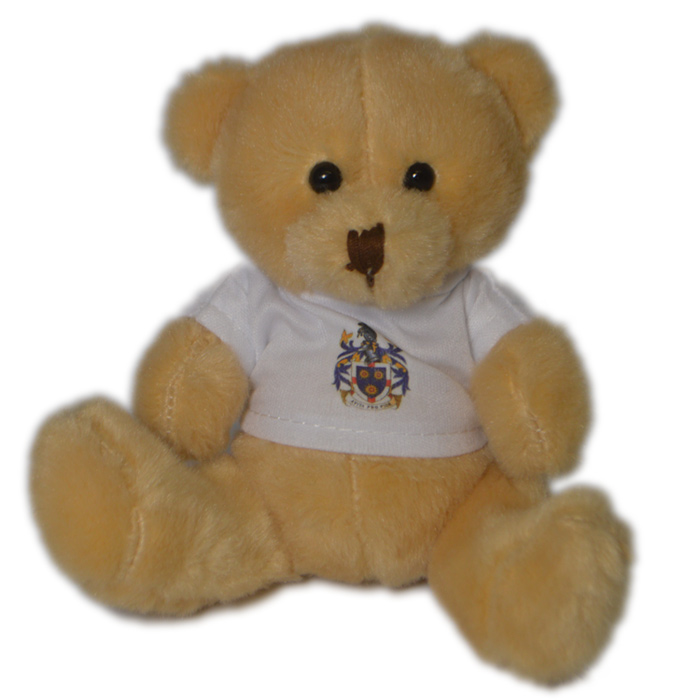 4imprint.co.uk: Scout Bears - Loyal Bear with T-Shirt 502651