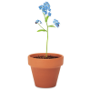 View Image 2 of 5 of Forget Me Not Terracotta Pot