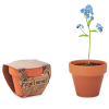 View Image 3 of 5 of Forget Me Not Terracotta Pot